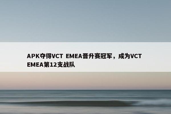 APK夺得VCT EMEA晋升赛冠军，成为VCT EMEA第12支战队