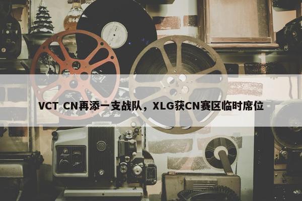 VCT CN再添一支战队，XLG获CN赛区临时席位