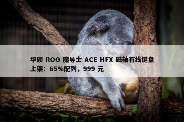 华硕 ROG 魔导士 ACE HFX 磁轴有线键盘上架：65%配列，999 元