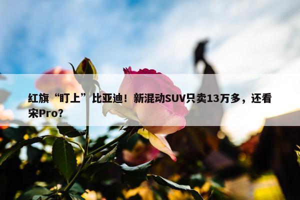 红旗“盯上”比亚迪！新混动SUV只卖13万多，还看宋Pro？