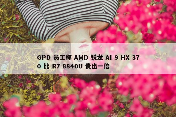 GPD 员工称 AMD 锐龙 AI 9 HX 370 比 R7 8840U 贵出一倍