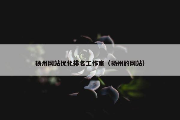 扬州网站优化排名工作室（扬州的网站）