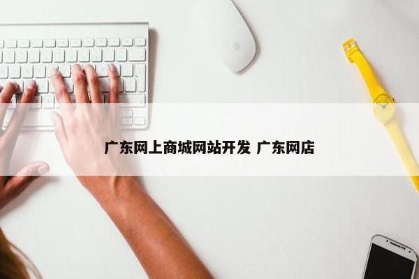 广东网上商城网站开发 广东网店