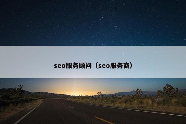 seo服务顾问（seo服务商）