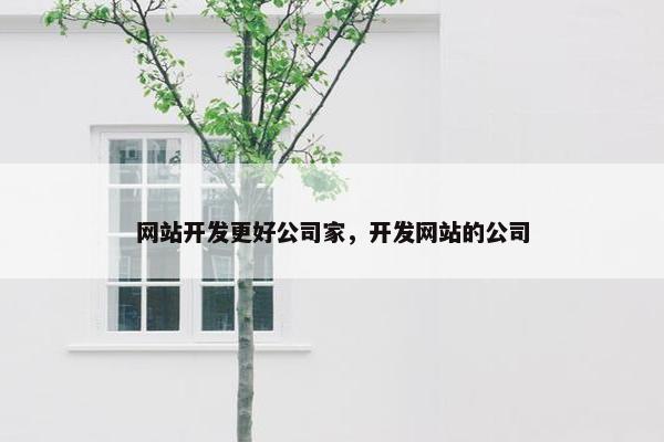 网站开发更好公司家，开发网站的公司