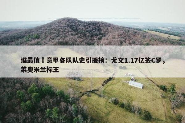 谁最值❓意甲各队队史引援榜：尤文1.17亿签C罗，莱奥米兰标王