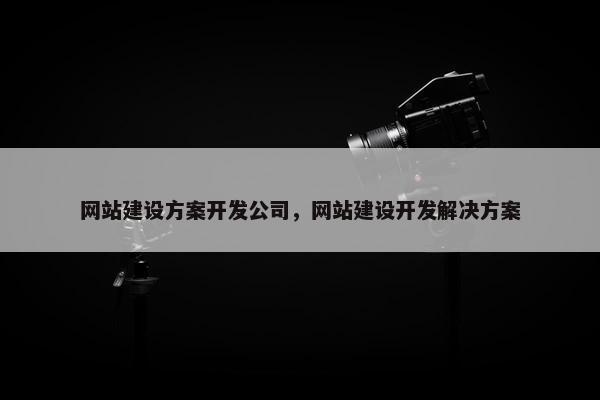 网站建设方案开发公司，网站建设开发解决方案