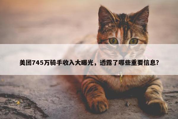 美团745万骑手收入大曝光，透露了哪些重要信息？