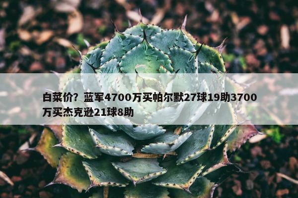 白菜价？蓝军4700万买帕尔默27球19助3700万买杰克逊21球8助