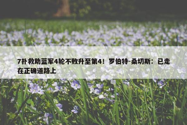 7扑救助蓝军4轮不败升至第4！罗伯特-桑切斯：已走在正确道路上