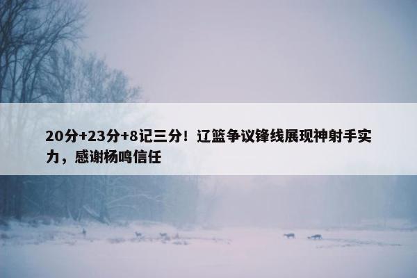 20分+23分+8记三分！辽篮争议锋线展现神射手实力，感谢杨鸣信任