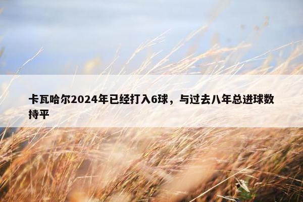 卡瓦哈尔2024年已经打入6球，与过去八年总进球数持平