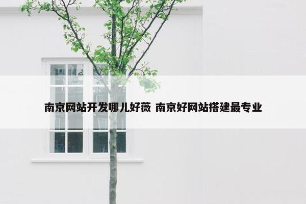 南京网站开发哪儿好薇 南京好网站搭建最专业