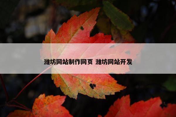 潍坊网站制作网页 潍坊网站开发