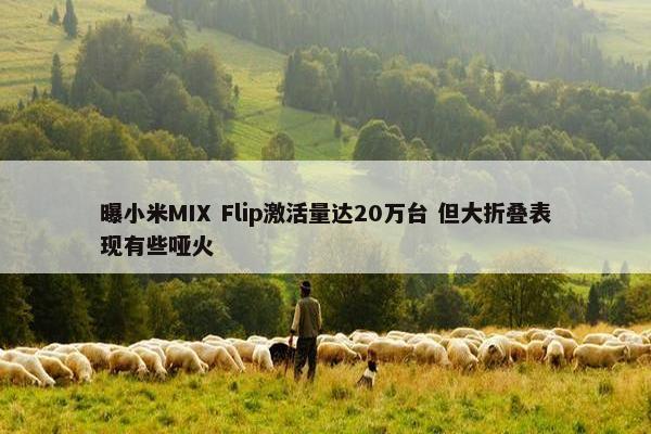 曝小米MIX Flip激活量达20万台 但大折叠表现有些哑火