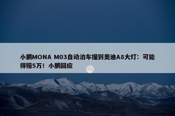 小鹏MONA M03自动泊车撞到奥迪A8大灯：可能得赔5万！小鹏回应