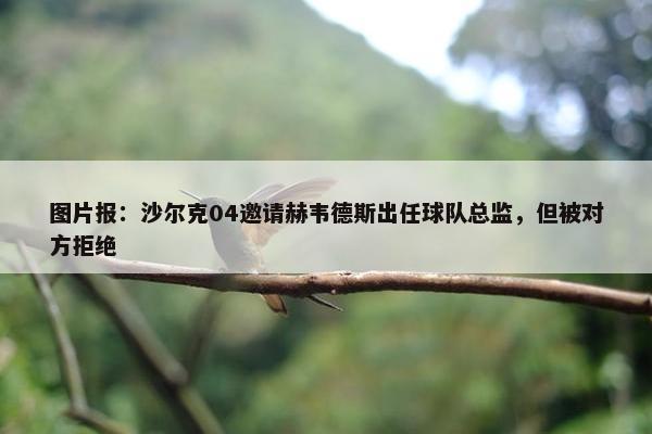 图片报：沙尔克04邀请赫韦德斯出任球队总监，但被对方拒绝