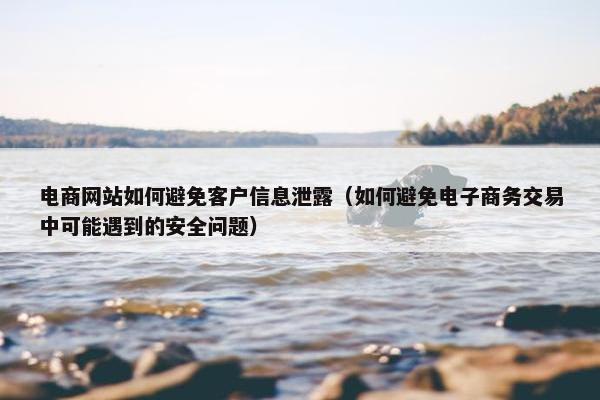 电商网站如何避免客户信息泄露（如何避免电子商务交易中可能遇到的安全问题）