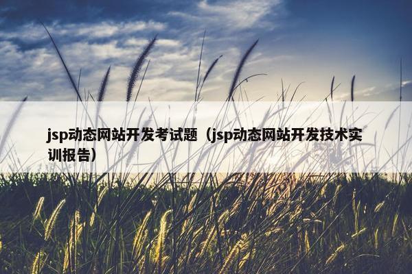 jsp动态网站开发考试题（jsp动态网站开发技术实训报告）