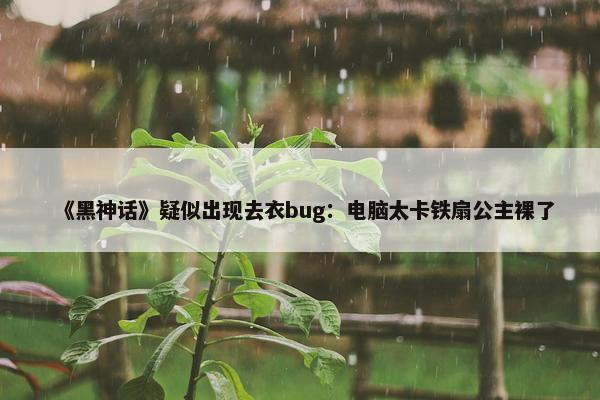 《黑神话》疑似出现去衣bug：电脑太卡铁扇公主裸了