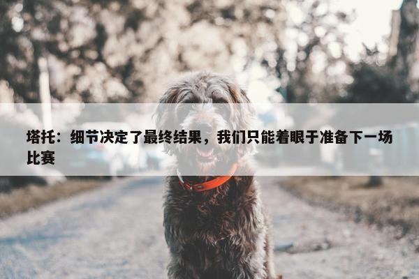 塔托：细节决定了最终结果，我们只能着眼于准备下一场比赛