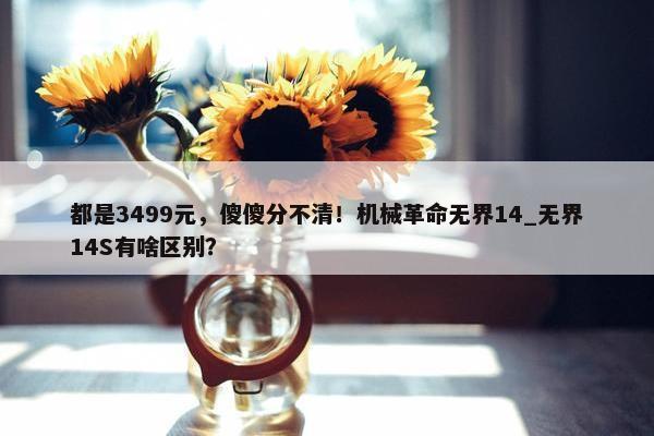 都是3499元，傻傻分不清！机械革命无界14_无界14S有啥区别？