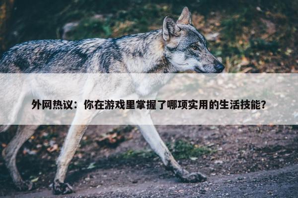 外网热议：你在游戏里掌握了哪项实用的生活技能？