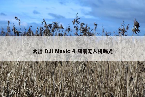 大疆 DJI Mavic 4 旗舰无人机曝光