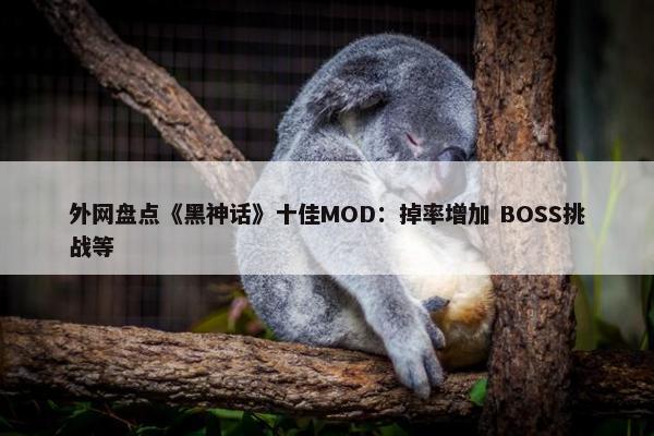 外网盘点《黑神话》十佳MOD：掉率增加 BOSS挑战等