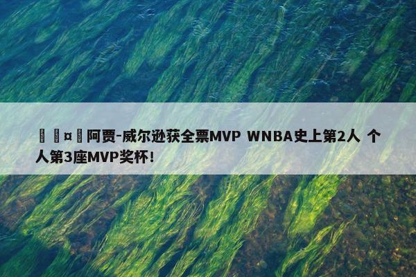 🤩阿贾-威尔逊获全票MVP WNBA史上第2人 个人第3座MVP奖杯！