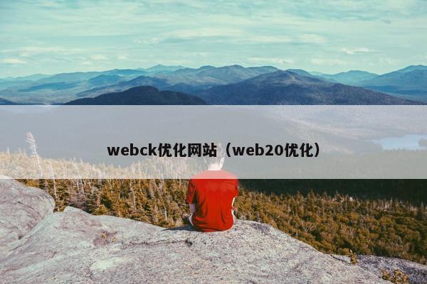 webck优化网站（web20优化）