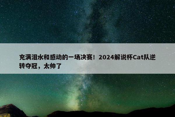 充满泪水和感动的一场决赛！2024解说杯Cat队逆转夺冠，太帅了