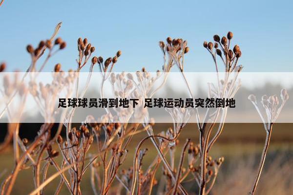 足球球员滑到地下 足球运动员突然倒地