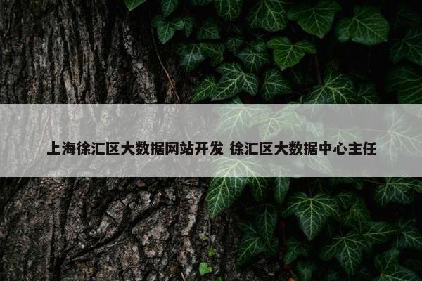 上海徐汇区大数据网站开发 徐汇区大数据中心主任