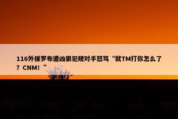 116外援罗布遭凶狠犯规对手怒骂“就TM打你怎么了？CNM！”