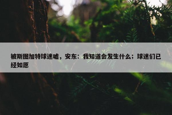 被斯图加特球迷嘘，安东：我知道会发生什么；球迷们已经如愿