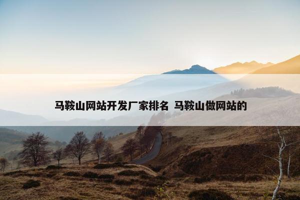 马鞍山网站开发厂家排名 马鞍山做网站的