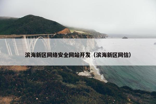 滨海新区网络安全网站开发（滨海新区网信）