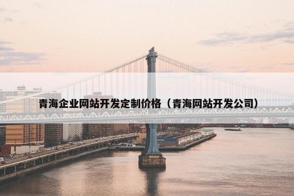 青海企业网站开发定制价格（青海网站开发公司）