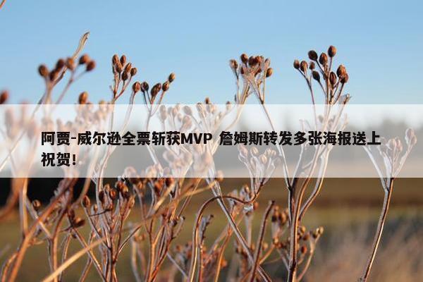 阿贾-威尔逊全票斩获MVP 詹姆斯转发多张海报送上祝贺！