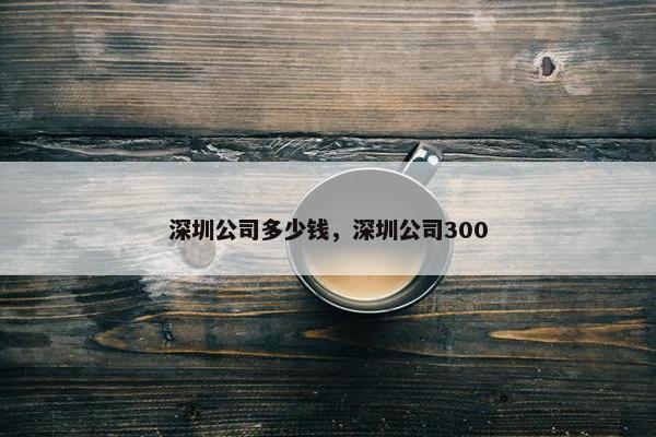 深圳公司多少钱，深圳公司300