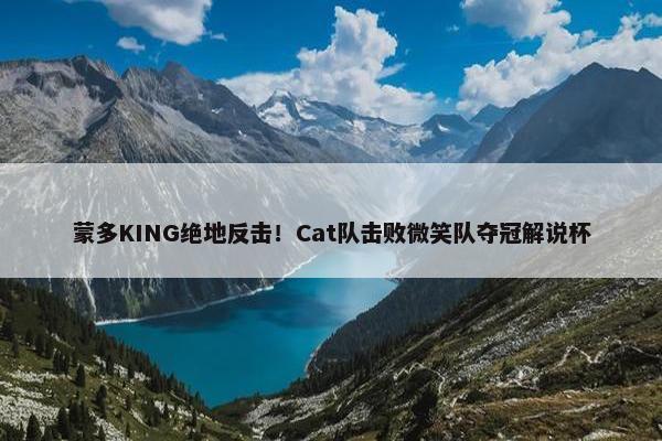 蒙多KING绝地反击！Cat队击败微笑队夺冠解说杯