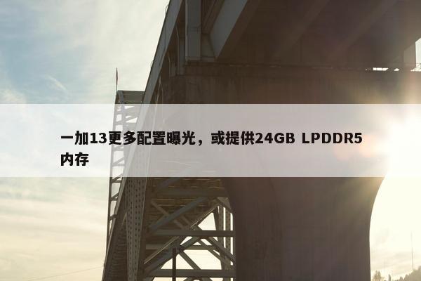 一加13更多配置曝光，或提供24GB LPDDR5内存