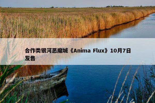 合作类银河恶魔城《Anima Flux》10月7日发售