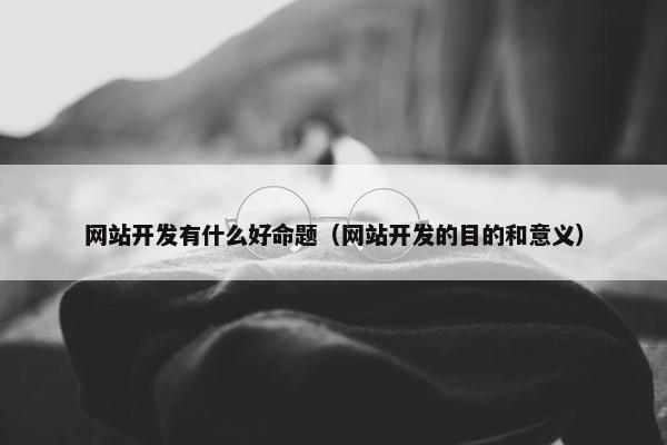 网站开发有什么好命题（网站开发的目的和意义）