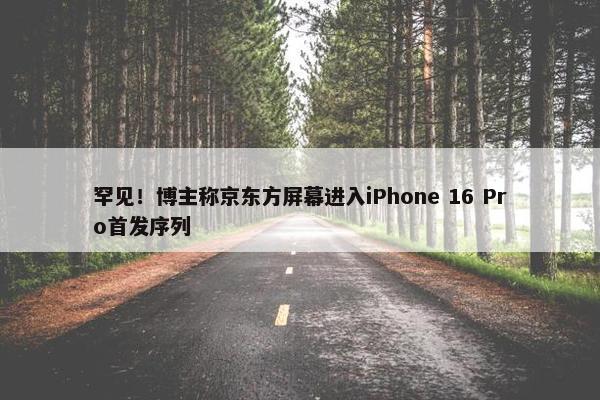 罕见！博主称京东方屏幕进入iPhone 16 Pro首发序列