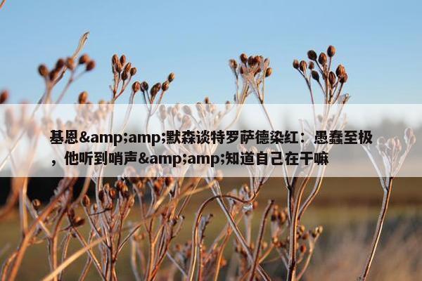 基恩&amp;默森谈特罗萨德染红：愚蠢至极，他听到哨声&amp;知道自己在干嘛