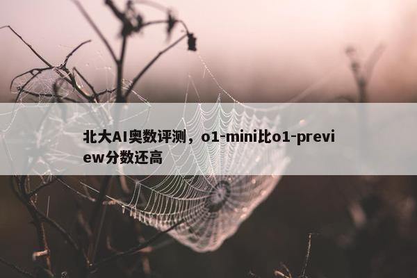 北大AI奥数评测，o1-mini比o1-preview分数还高