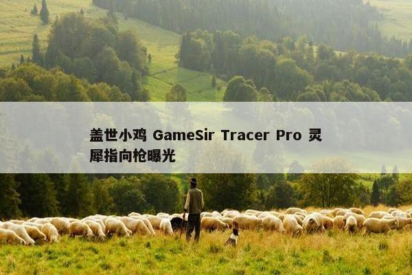 盖世小鸡 GameSir Tracer Pro 灵犀指向枪曝光