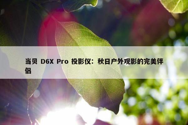 当贝 D6X Pro 投影仪：秋日户外观影的完美伴侣